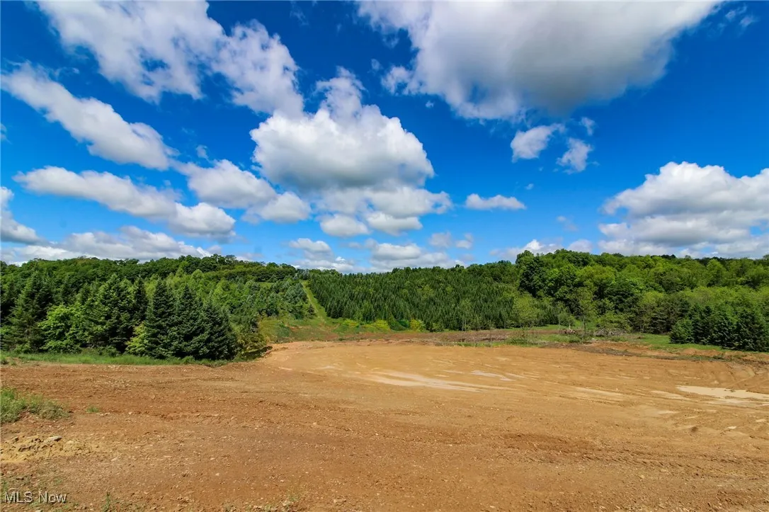View of tree filled area