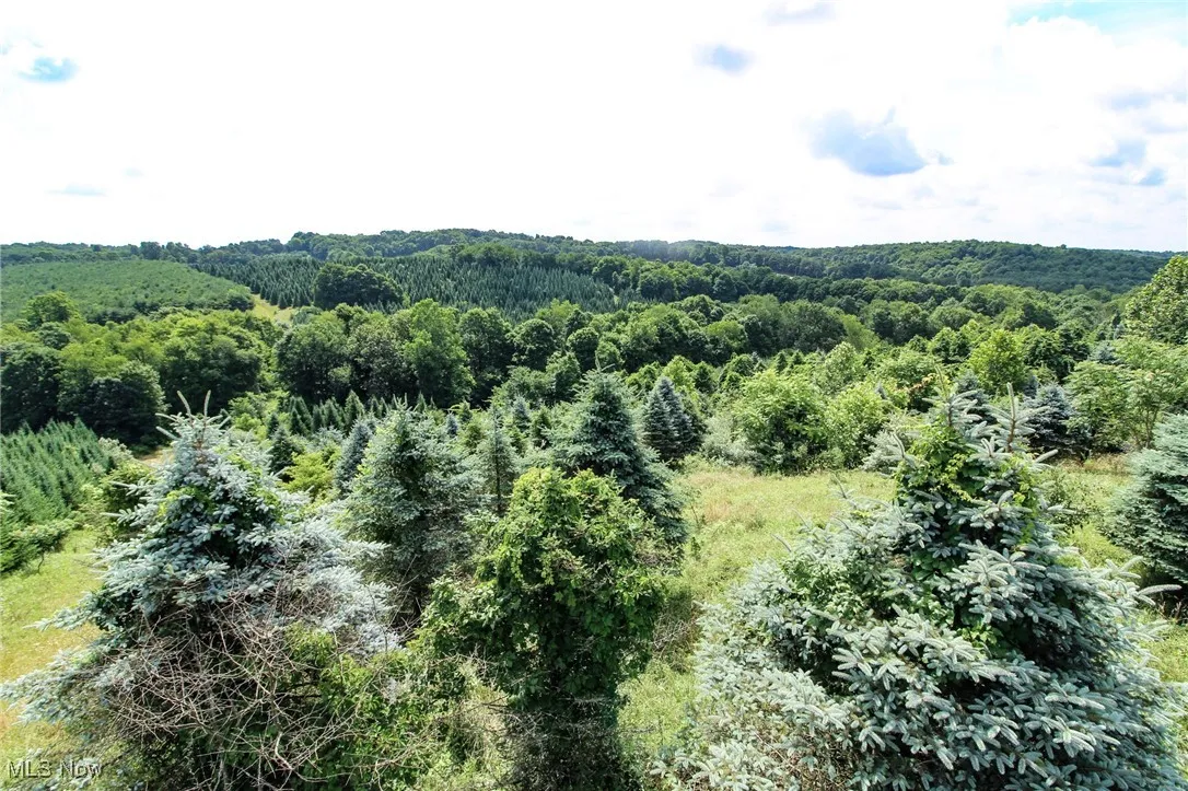 Bird's eye view of a heavily wooded area