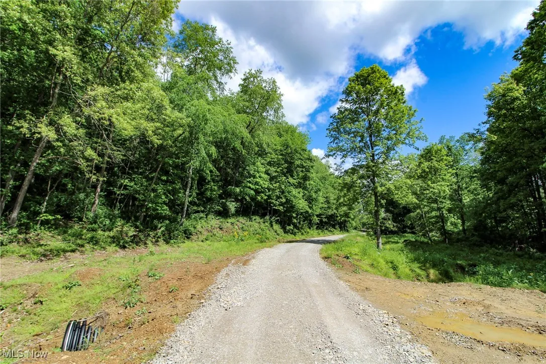 View of dirt / gravel road with a forest view