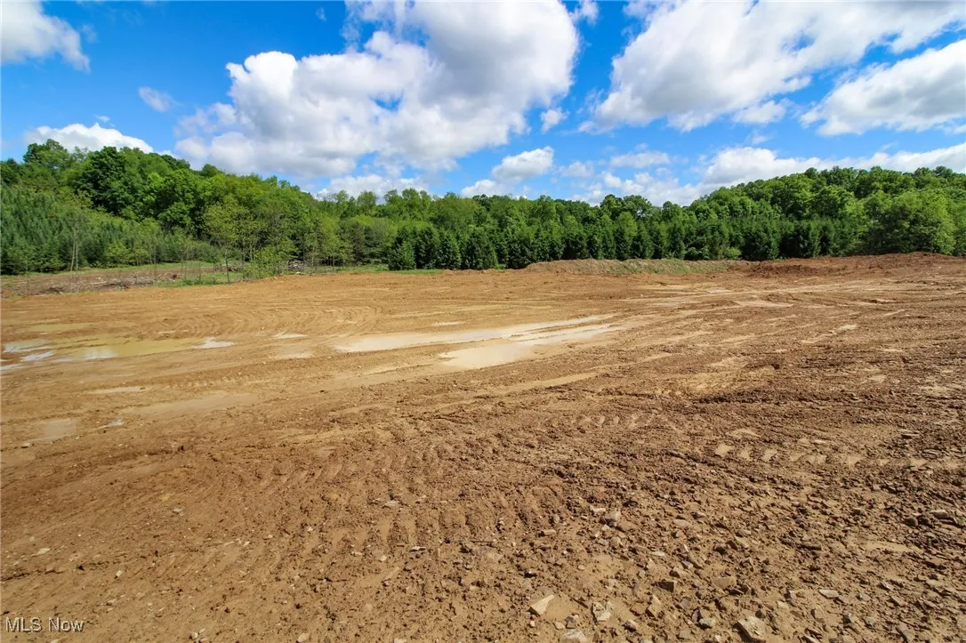 View of wooded area