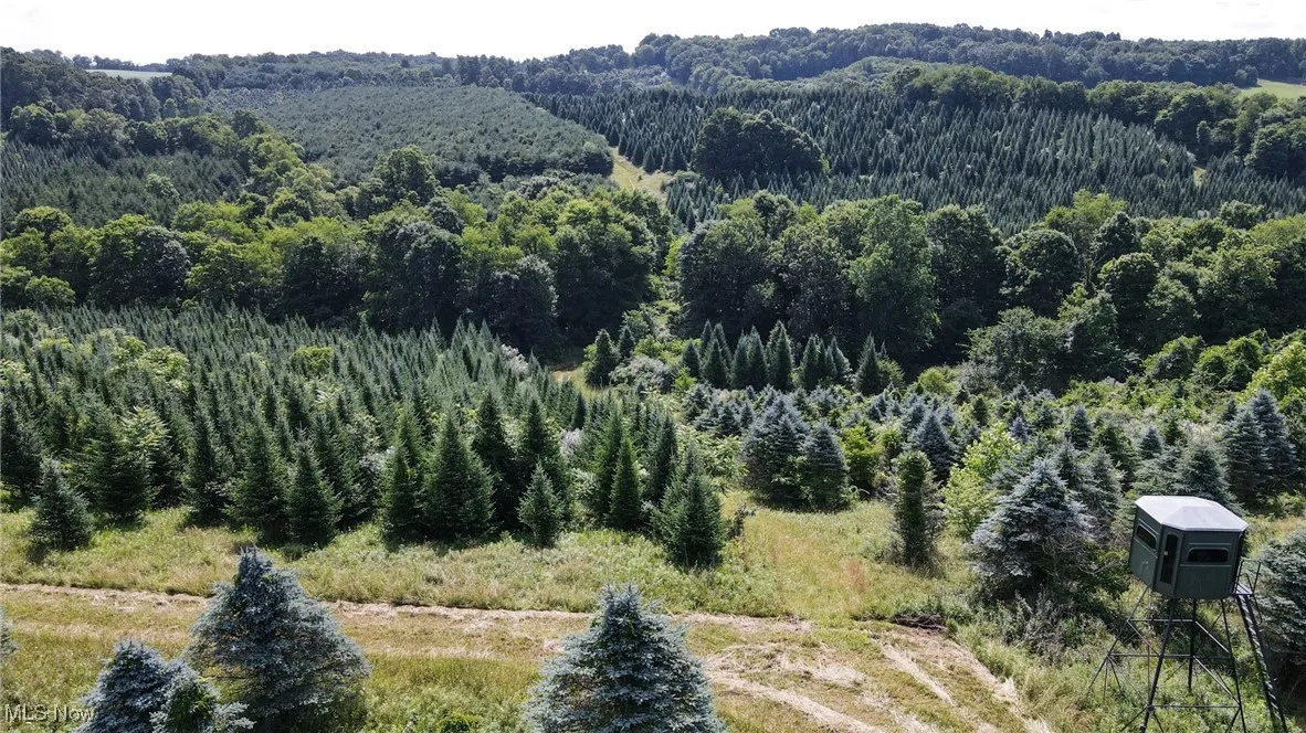 Drone / aerial view of a heavily wooded area