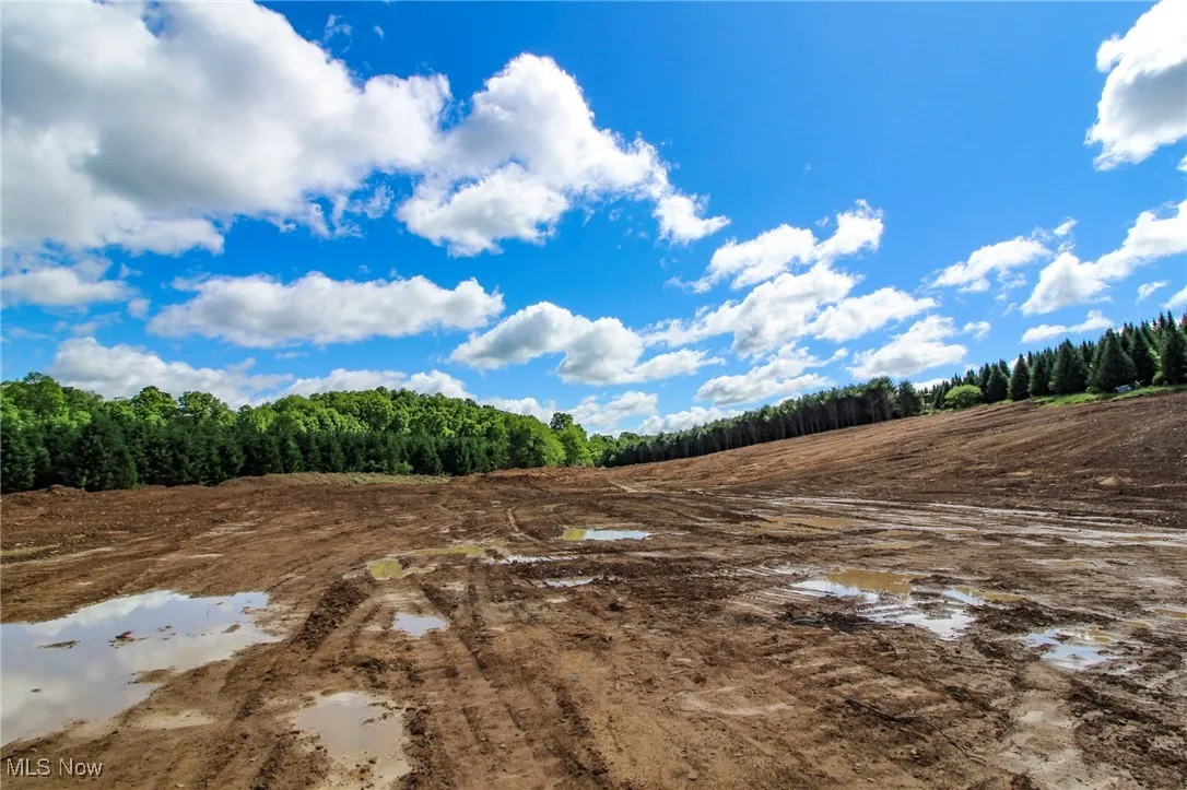 View of wooded area with a view of countryside