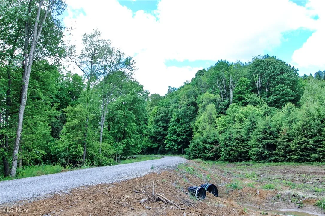 View of dirt / gravel road featuring a wooded view