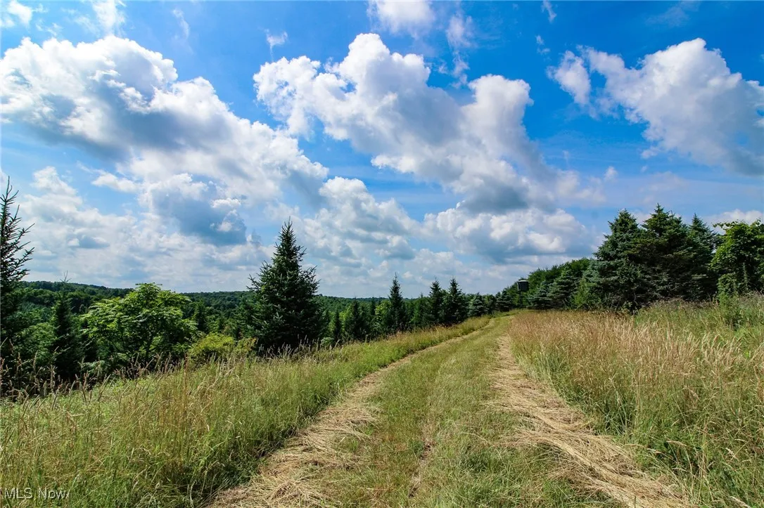 View of woods