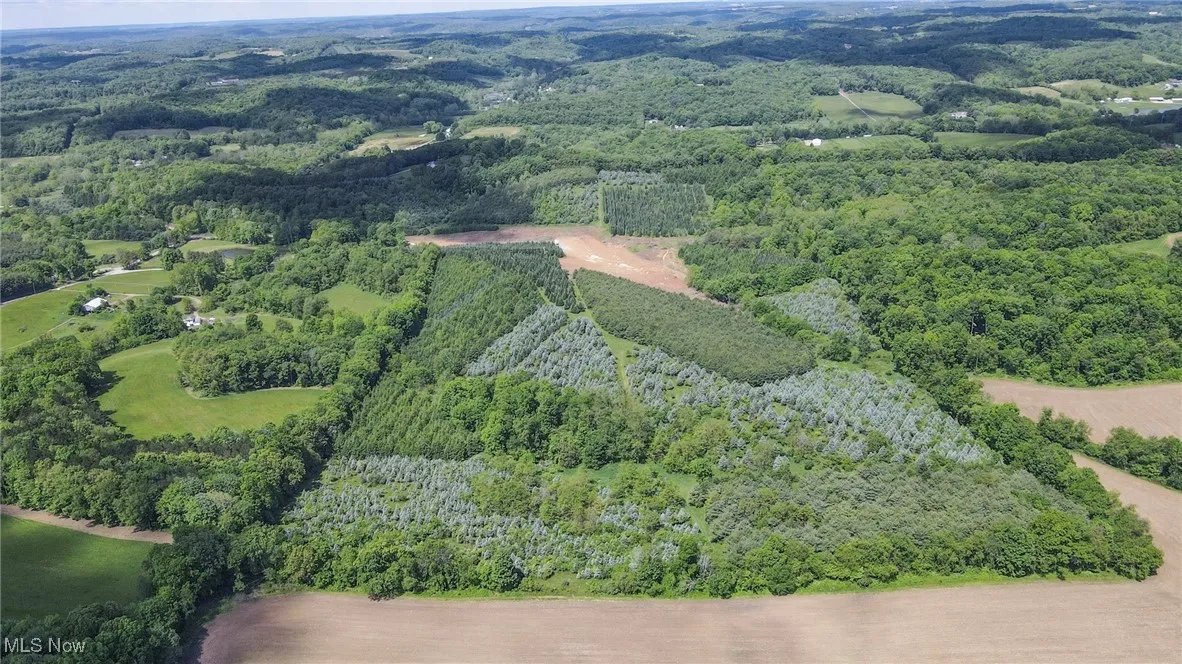 View of property location with a heavily wooded area
