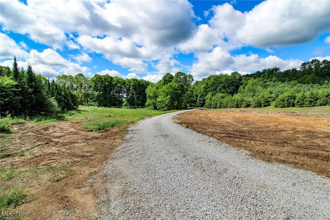 View of road featuring a forest view