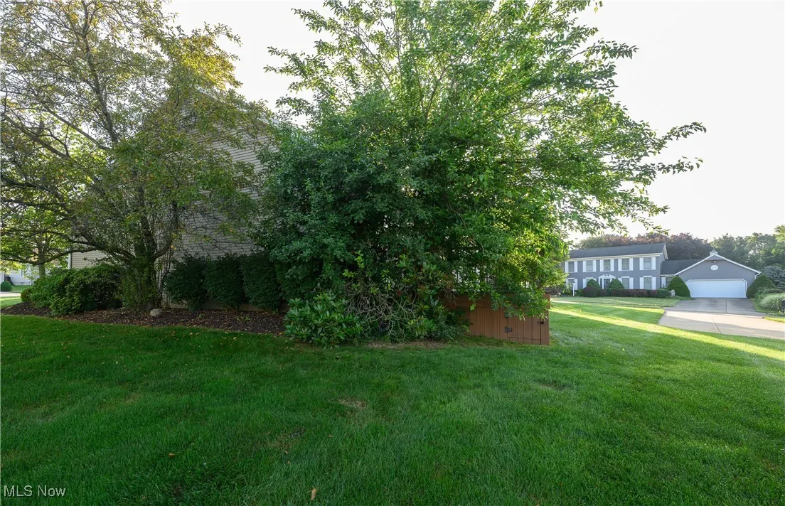 View of green lawn