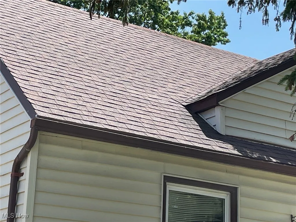 Roof view