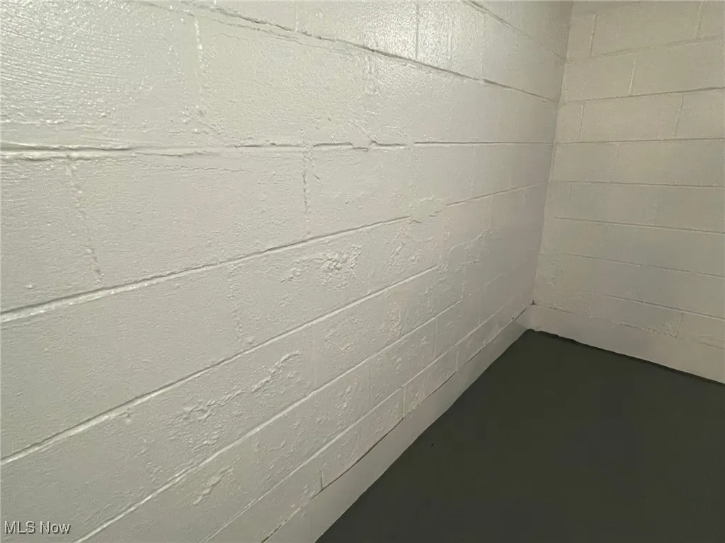 Basement view 12