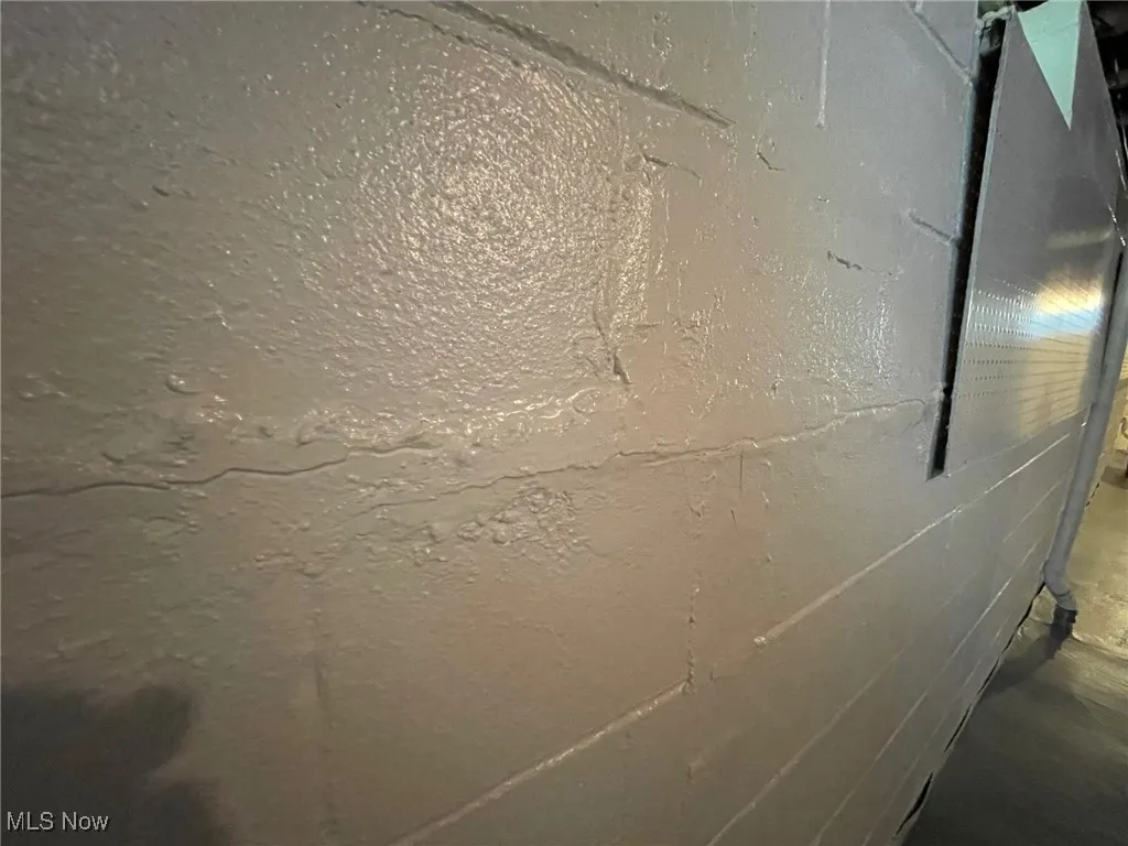 Basement view 4