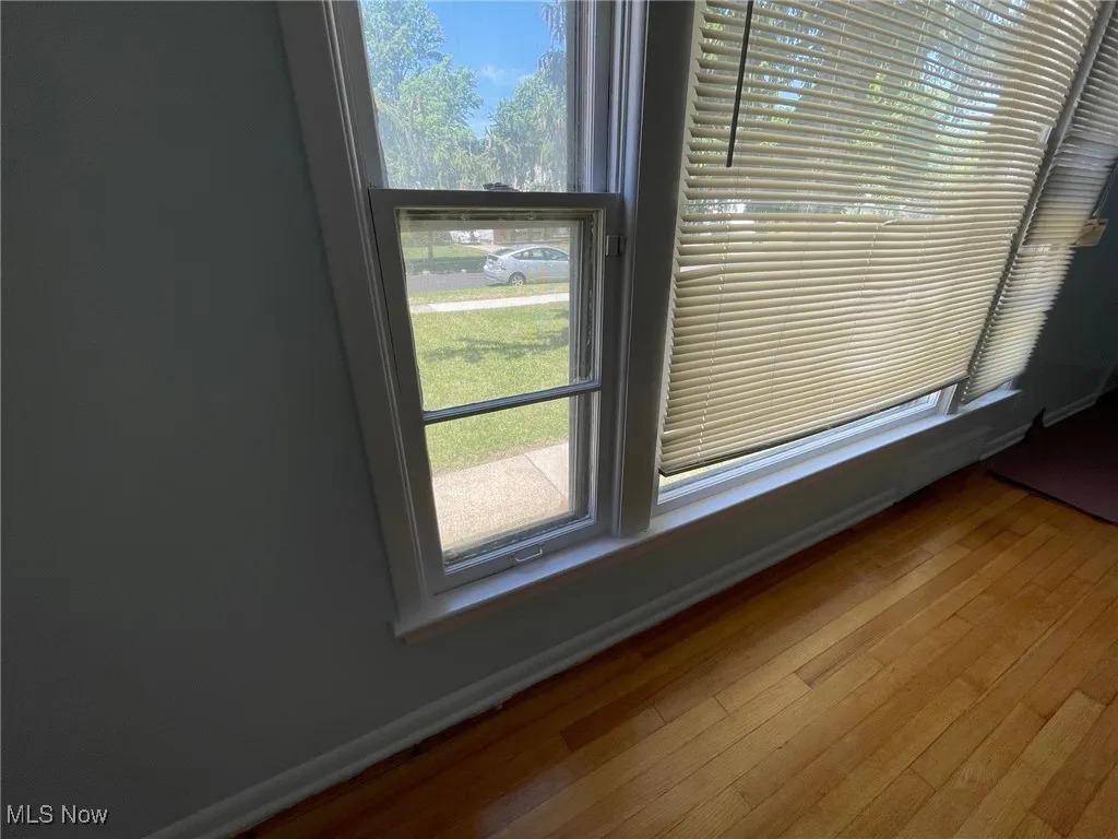 Living room window
