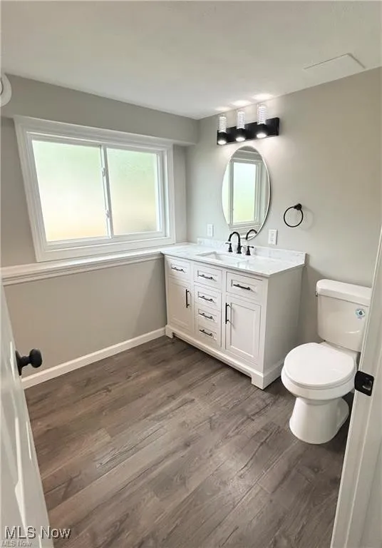 Bathroom featuring vanity, wood finished floors, and plenty of natural light