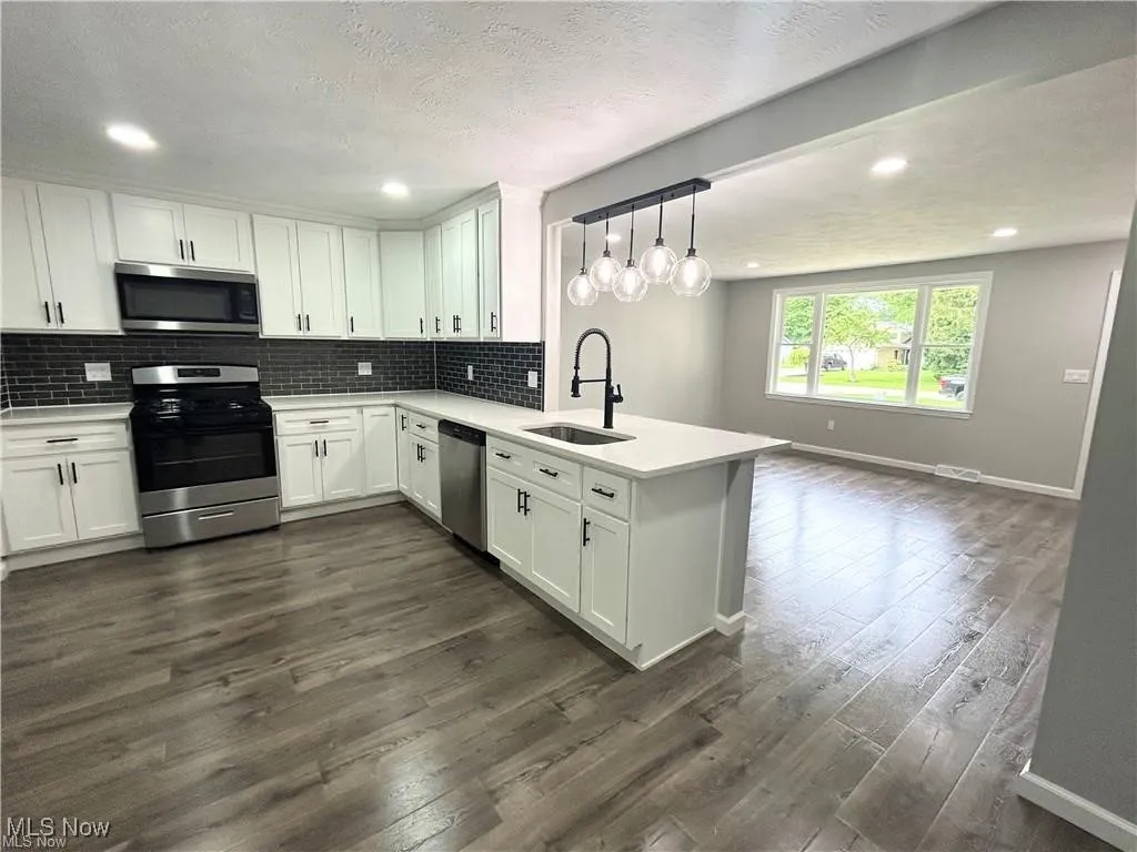 Kitchen with stainless steel appliances, a peninsula, open floor plan, backsplash, and dark wood-type flooring