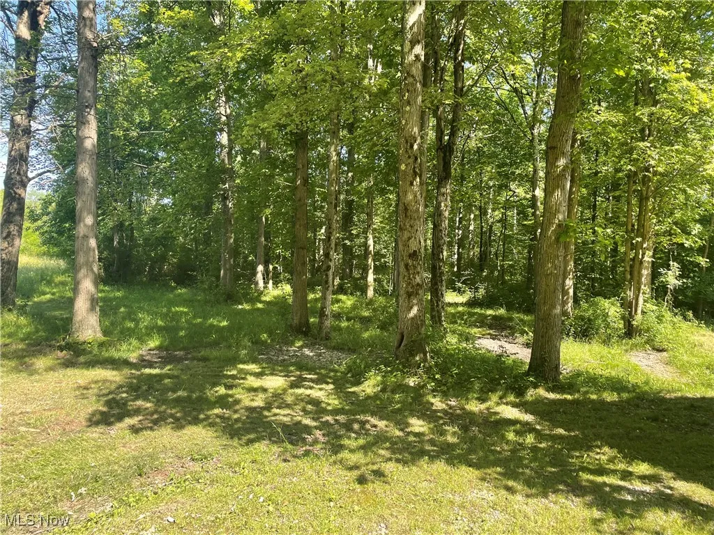 5450 King Graves Road, Vienna, Ohio,MLS Now Listing ID