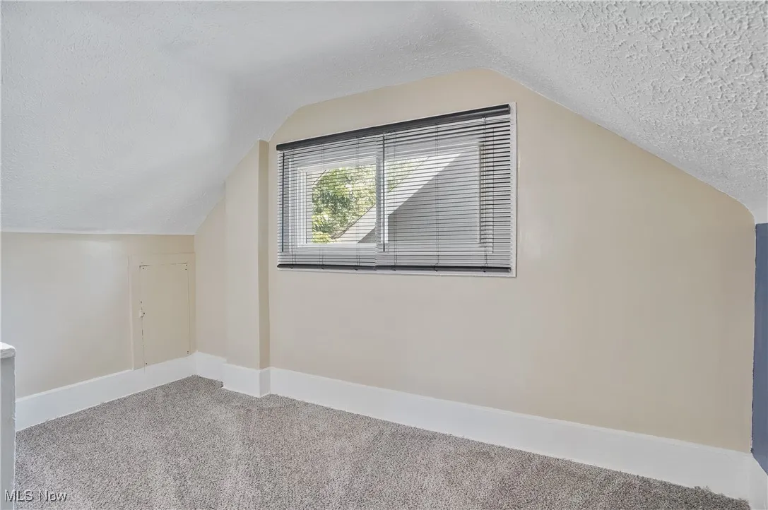 Bonus room featuring a textured ceiling, lofted ceiling, and carpet flooring