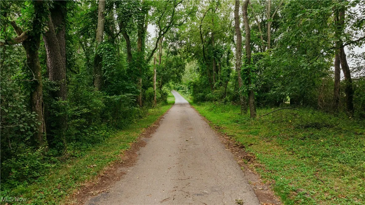 View of road