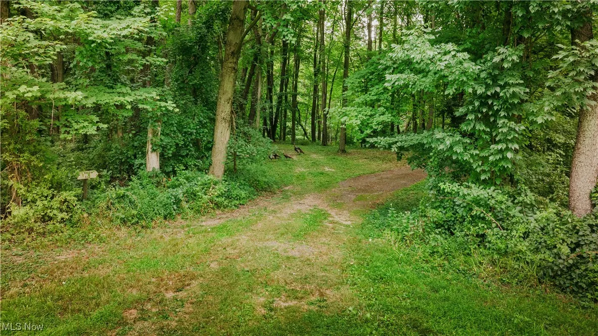 View of landscape