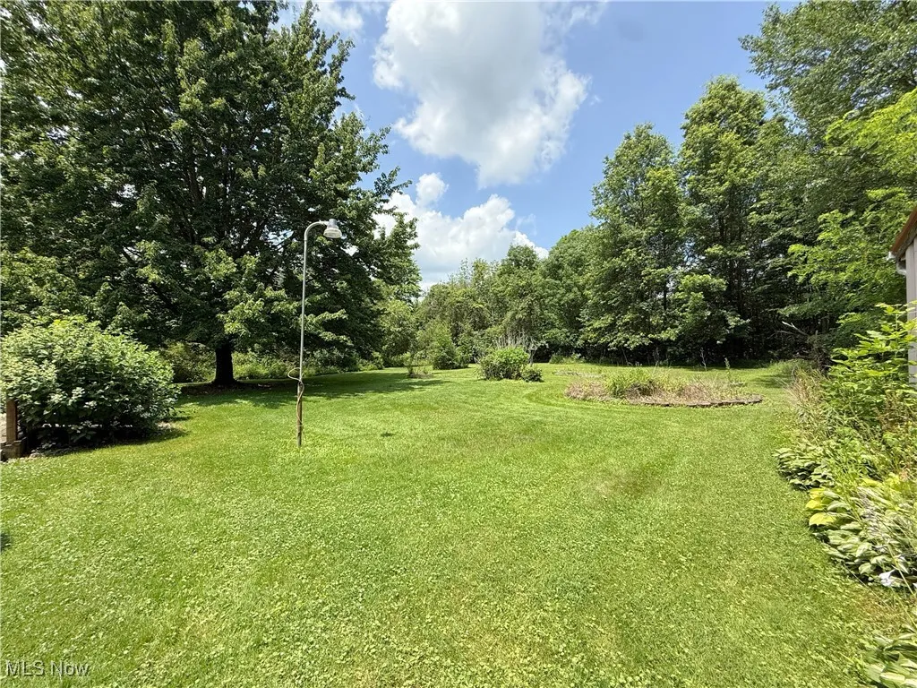 View of green lawn
