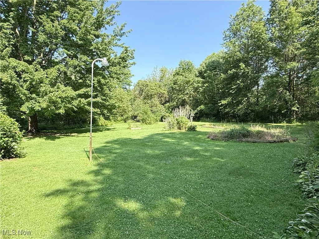 View of green lawn