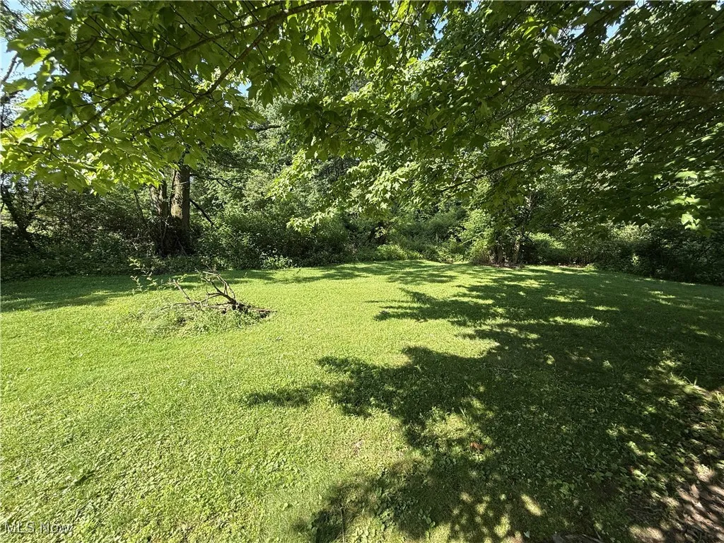View of grassy yard