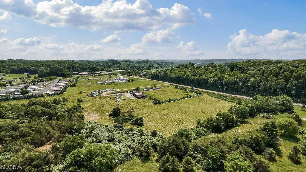 Drone / aerial view of a forest