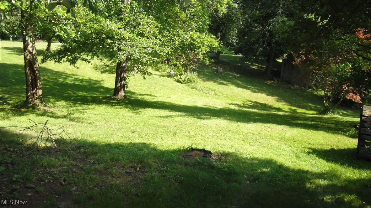 View of green lawn