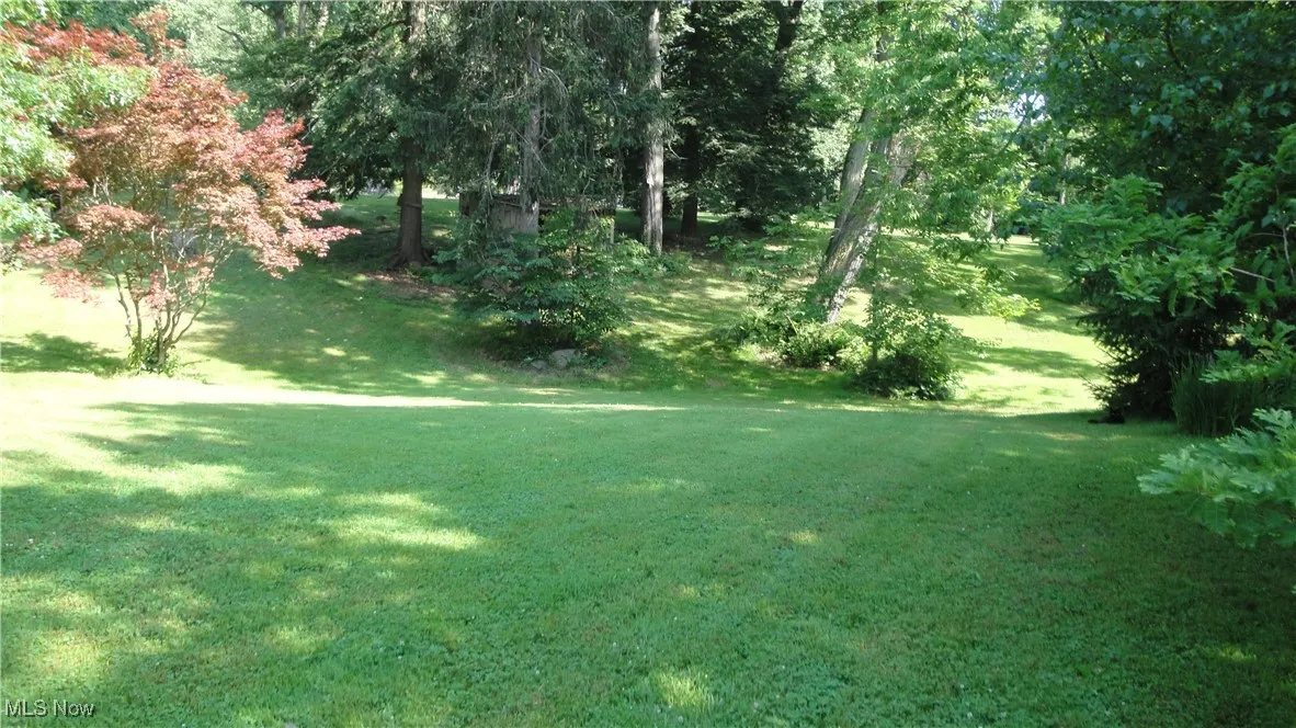 View of green lawn