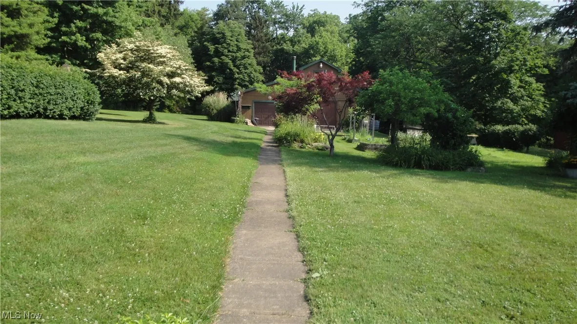 View of grassy yard