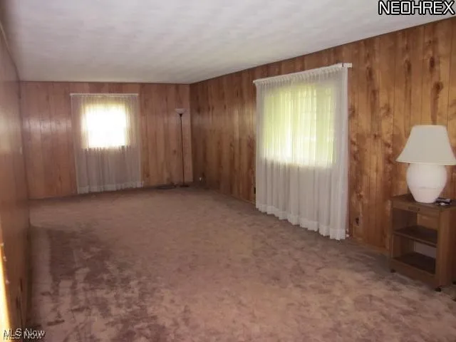 Unfurnished room with carpet floors and wood walls
