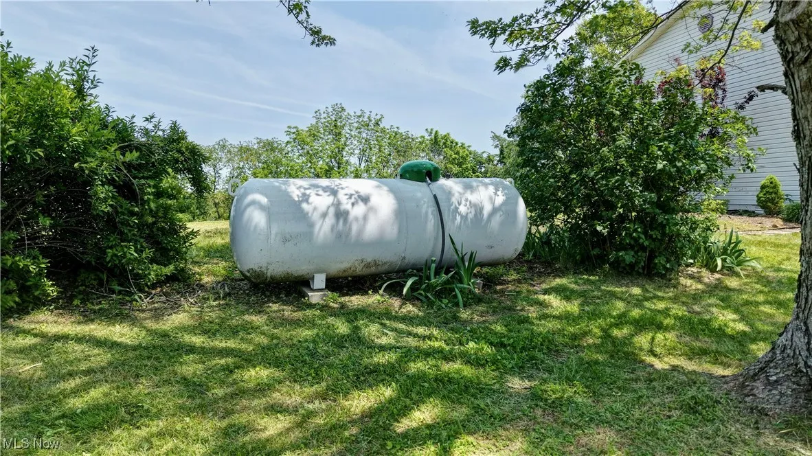 View of grassy yard
