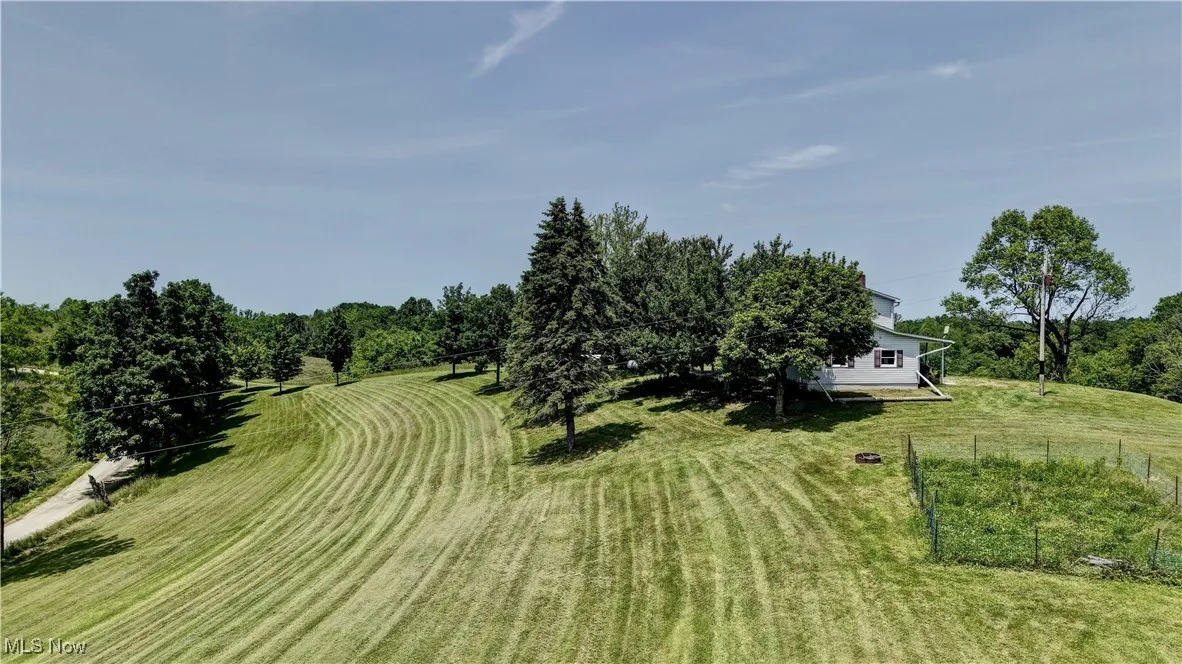 View of grassy yard