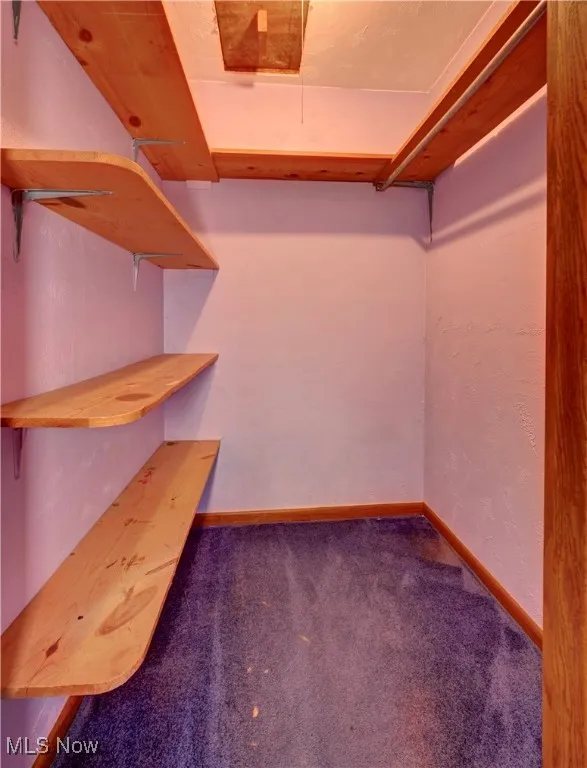 Spacious closet featuring carpet flooring