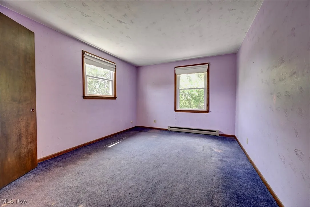 Carpeted spare room featuring baseboard heating and healthy amount of natural light