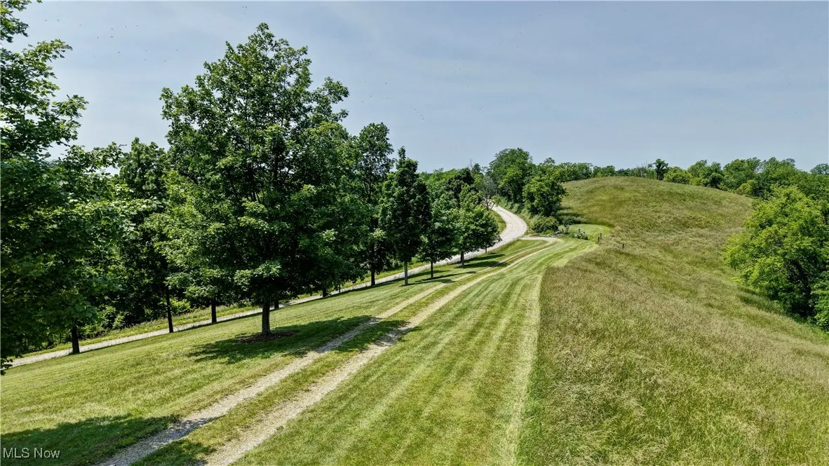 View of green lawn with dirt driveway