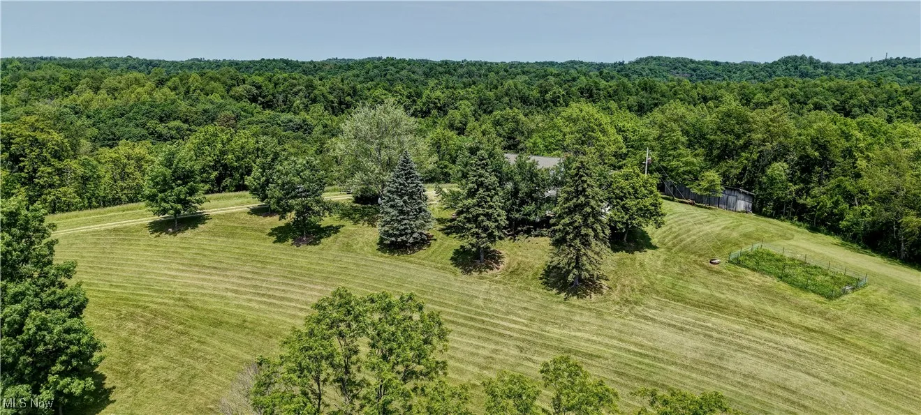 Aerial view of a heavily wooded area