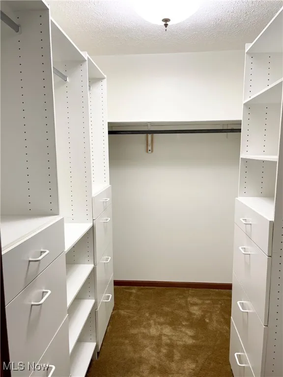 Walk in closet in Primary