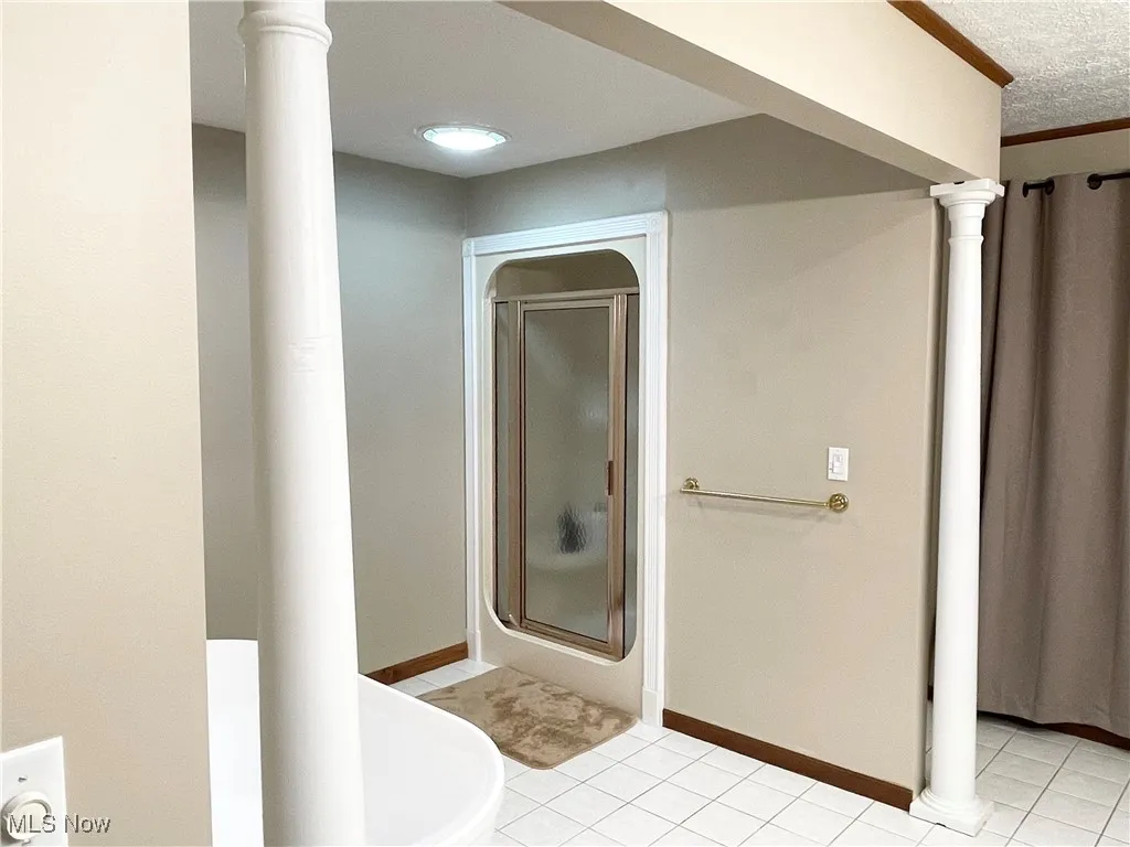 Stand up shower opposite the Roman tub