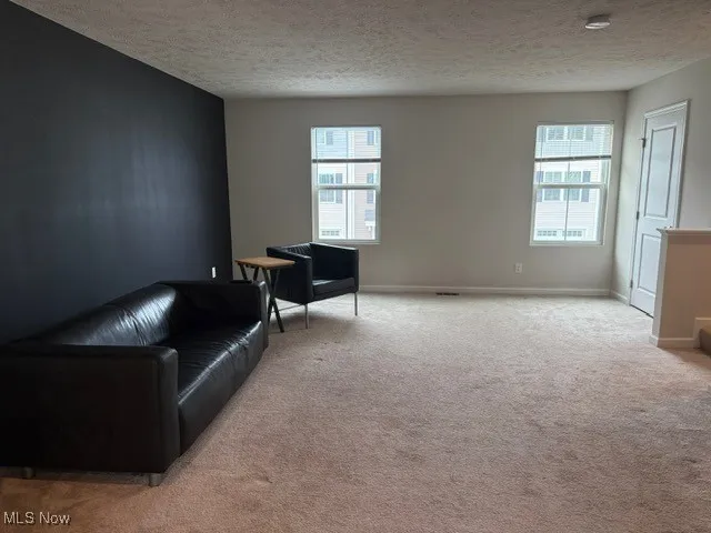 113 Palm Court, Painesville, Ohio,MLS Now Listing ID