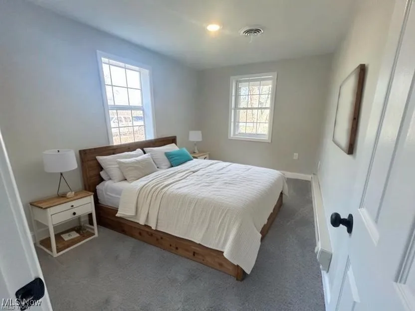 Carpeted bedroom with multiple windows