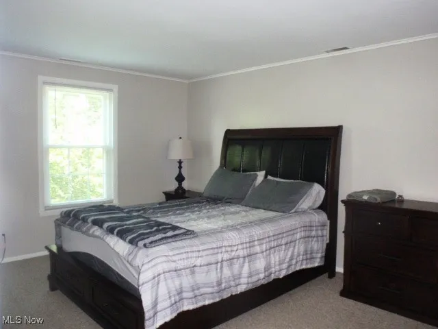 Carpeted bedroom with crown molding and multiple windows