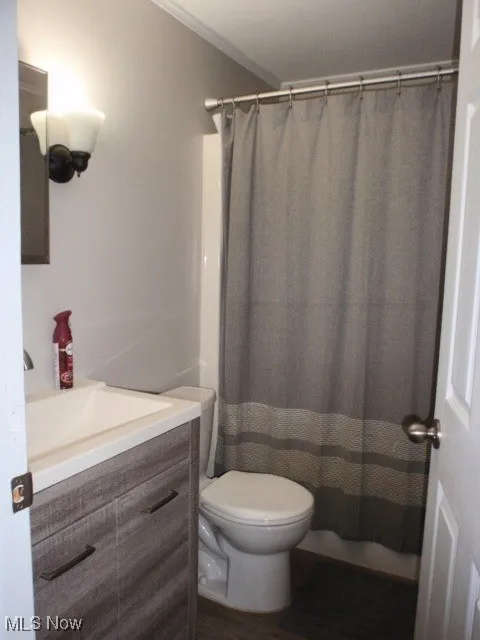 Full bathroom with vanity, crown molding, and a shower with curtain