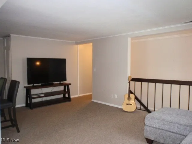Living area featuring crown molding and carpet floors