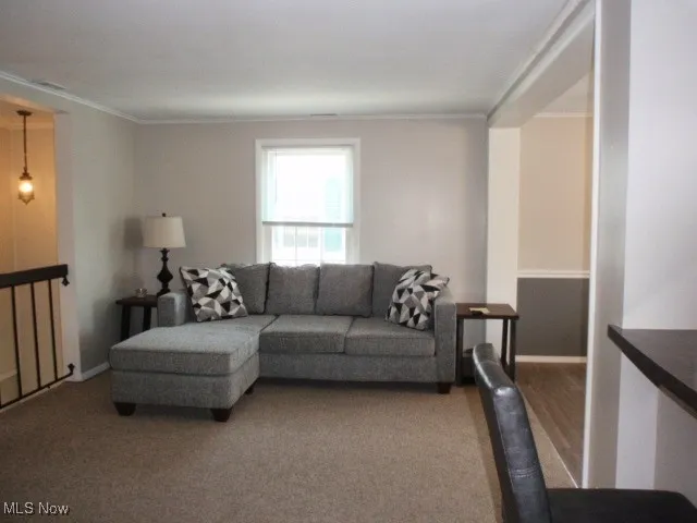 Living area featuring crown molding and light carpet