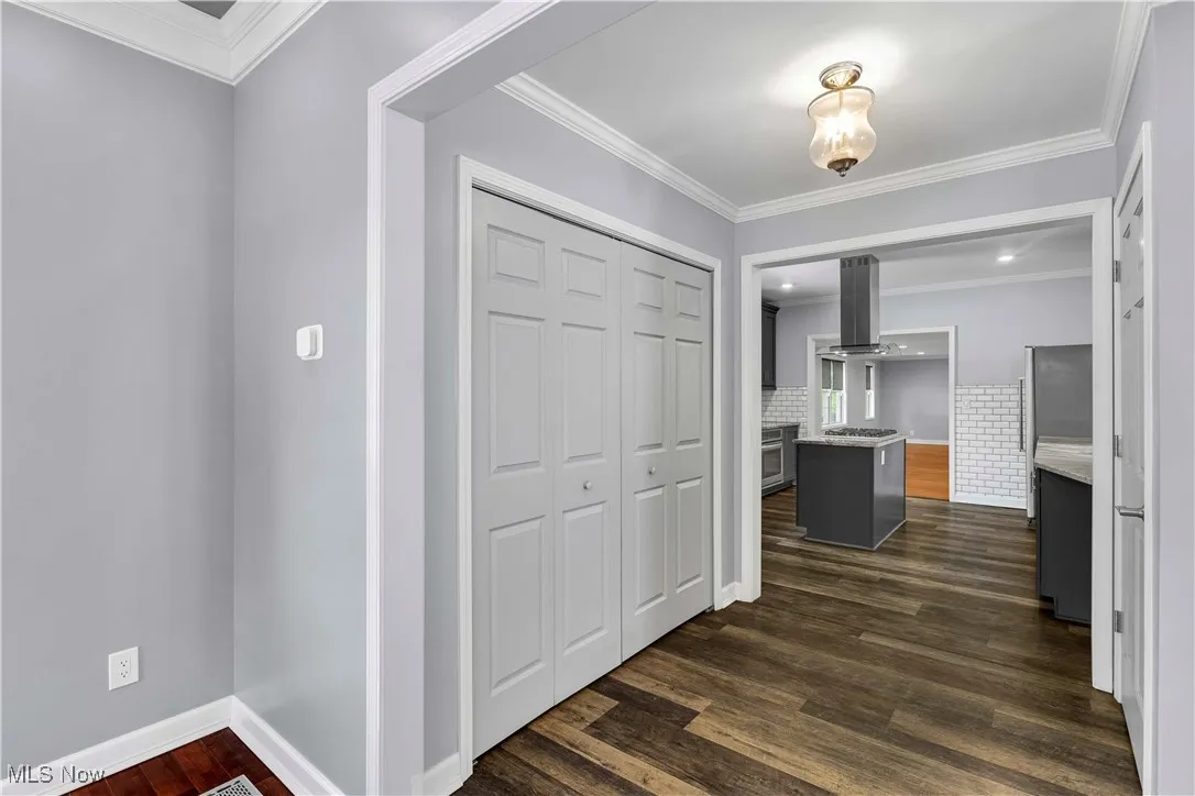 Kitchen Pantry Closet
