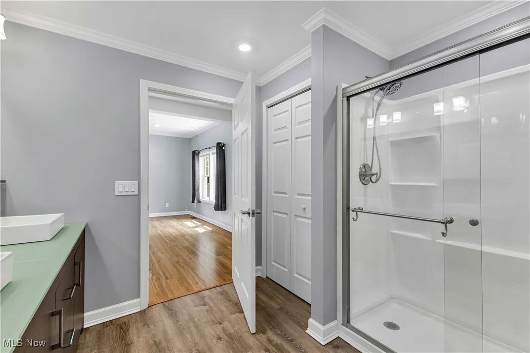 Bathroom with wood finished floors, a stall shower, ornamental molding, vanity, and recessed lighting