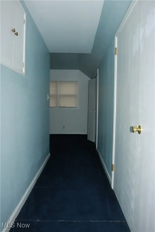 Additional living space with baseboards and lofted ceiling