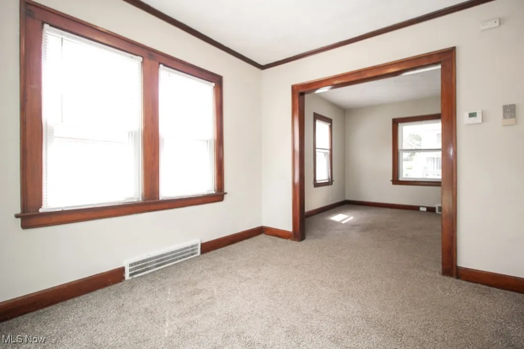 Carpeted spare room with crown molding and healthy amount of natural light