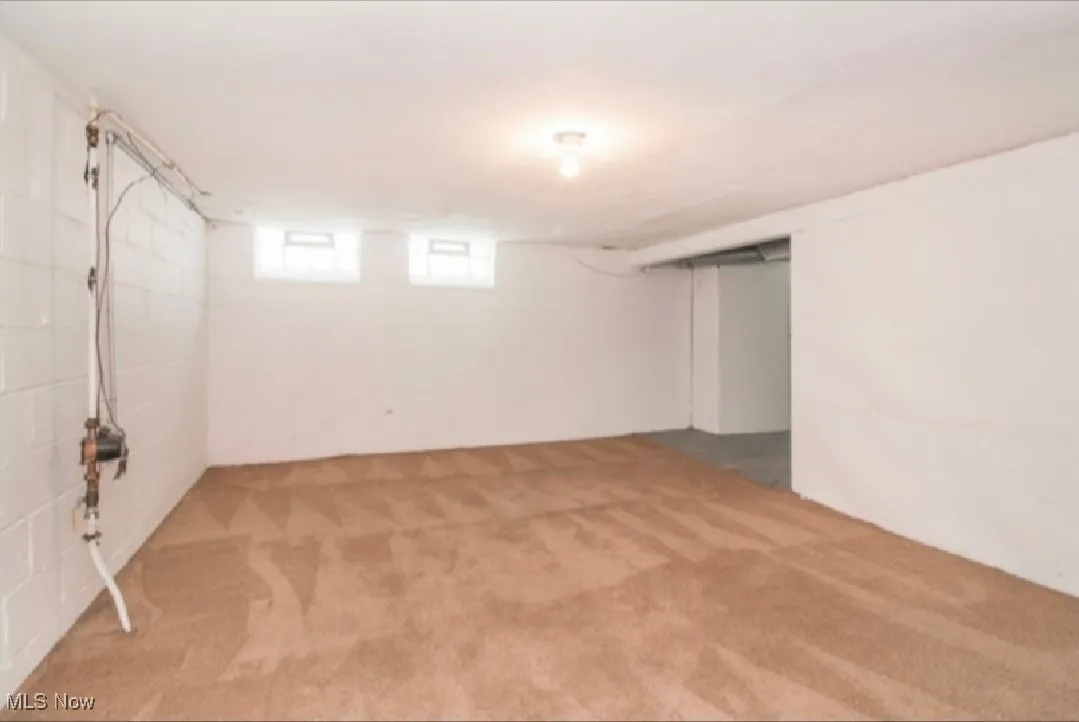 Basement featuring carpet flooring