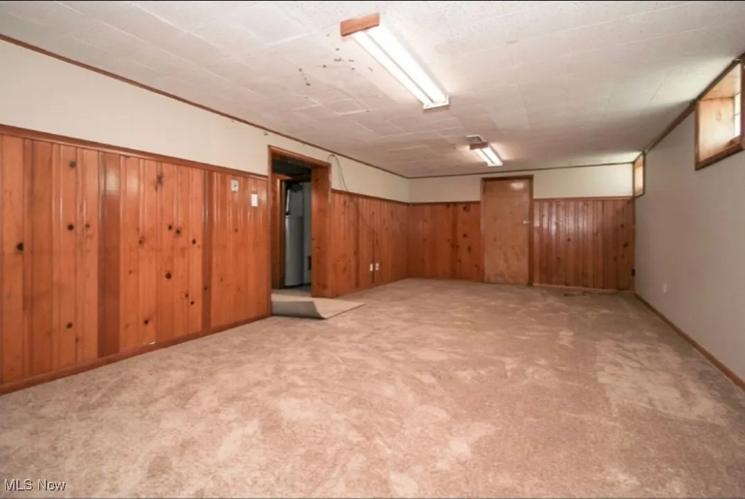 Finished below grade area featuring light colored carpet and wooden walls
