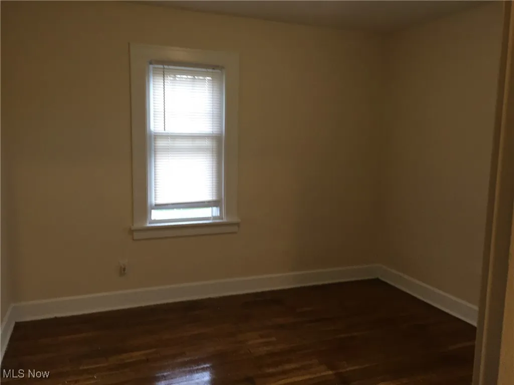Spare room featuring plenty of natural light and dark wood finished floors